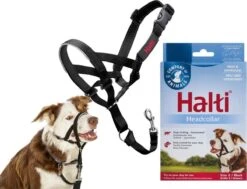 Halti Headcollar - Maat 2 -Honden Benodigdheden Verkoop 1200x916