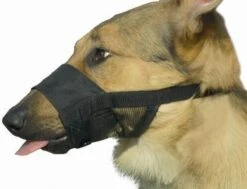 Beeztees Comfort Muilband - Hond - M - 15-20 Cm -Honden Benodigdheden Verkoop 1200x918 1