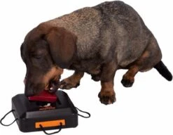 Trixie Dogtoy Dog Activity Strategy Game Gamble Box - Piepend Speelgoed - 15cm X 15cm X 9cm - Zwart/rood/oranje -Honden Benodigdheden Verkoop 1200x935 3