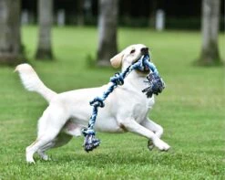 Viervoetjes - BigBoi - XXXL - Honden Touw - 100cm - 730 Gram - Honden Speelgoed - HondenSpeeltjes - Blauw/Wit/Zwart 7 Viervoetjes - BigBoi - XXXL - Honden Touw - 100cm - 730 Gram - Honden Speelgoed - HondenSpeeltjes - Blauw/Wit/Zwart -Honden Benodigdheden Verkoop 1200x958 9