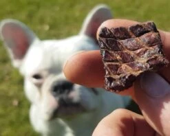 Topdiervoeding Lamslong Hondensnacks - Vers Gedroogd - Knapperig - 1 KG -Honden Benodigdheden Verkoop 1200x960