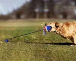 Nixnix - Honden Speelgoed Bal Met Touw - Blauw - Kauwbot - Hondenspeelgoed - Kauwspeelgoed - Onverwoestbaar - Apporteren - Geschikt Voor Alle Honden 8 Nixnix - Honden Speelgoed Bal Met Touw - Blauw - Kauwbot - Hondenspeelgoed - Kauwspeelgoed - Onverwoestbaar - Apporteren - Geschikt Voor Alle Honden -Honden Benodigdheden Verkoop 1200x960 7