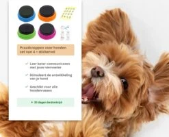 Praatknop Hond – Set Van 4 - Honden Speelgoed – Honden Training – Dogbuttons – Huisdier – Puppy Training - Hondenspeelgoed Intelligentie - Hond Opvoeden -Honden Benodigdheden Verkoop 1200x972 5