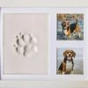 Frummel Fotolijst Met Kleiafdruk - Pootafdruk Hond - Gipsafdruk Huisdier - 22,5 X 27,5 Cm - Wit 2 Frummel Fotolijst Met Kleiafdruk - Pootafdruk Hond - Gipsafdruk Huisdier - 22,5 X 27,5 Cm - Wit -Honden Benodigdheden Verkoop 1200x987 4