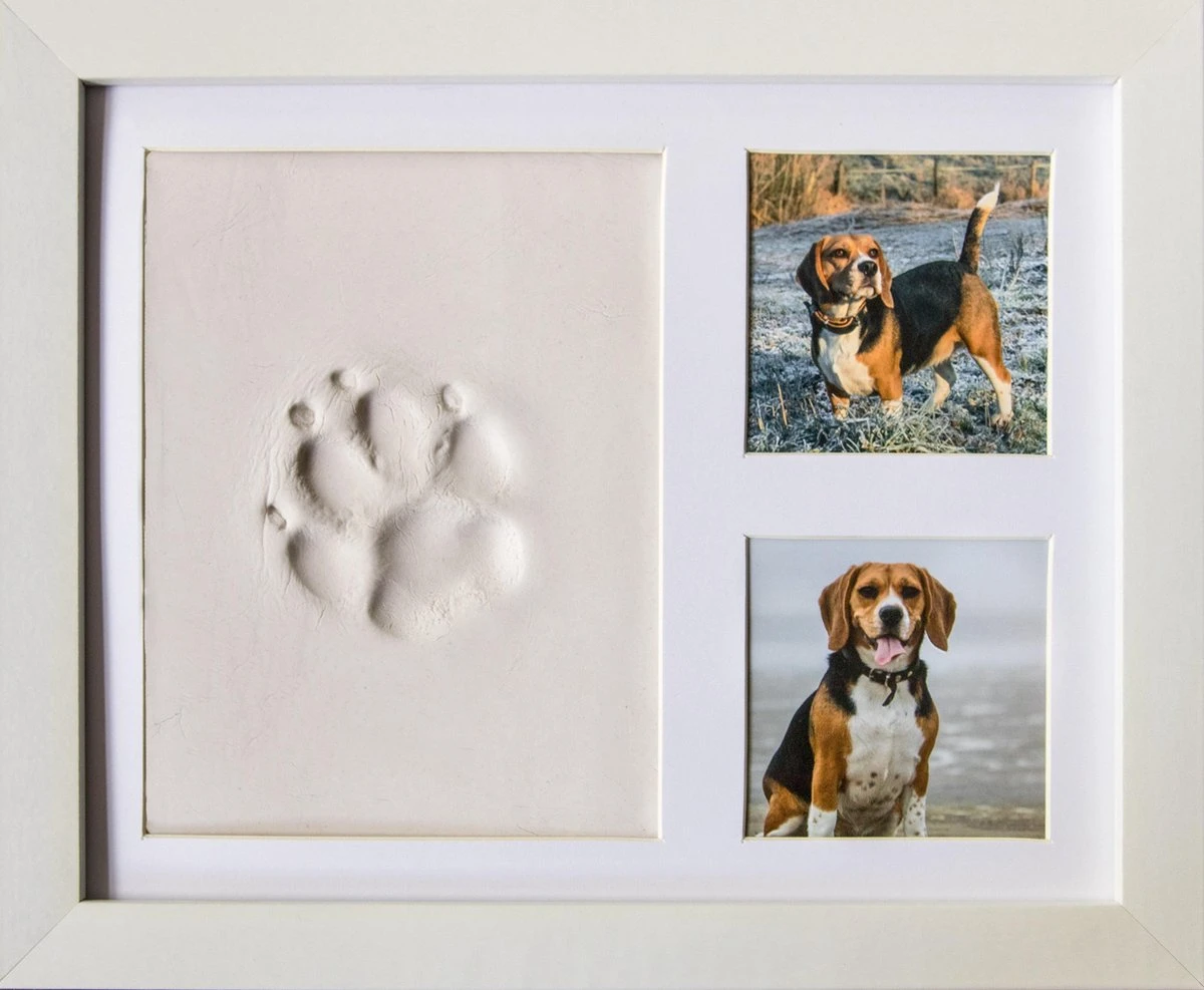 Frummel Fotolijst Met Kleiafdruk - Pootafdruk Hond - Gipsafdruk Huisdier - 22,5 X 27,5 Cm - Wit 3 Frummel Fotolijst Met Kleiafdruk - Pootafdruk Hond - Gipsafdruk Huisdier - 22,5 X 27,5 Cm - Wit