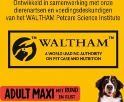 Pedigree Maxi Adult Honden Droogvoer - Rund - 15 Kg -Honden Benodigdheden Verkoop 1200x992