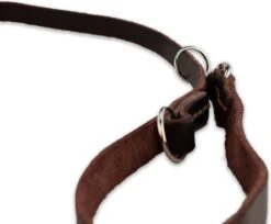 Multifunctionele Hondenriem - 220cm - Bruin - Leren Hondenriem - 100% Volnerfleer - Hondenriem Leer - Leiband Hond 17 Multifunctionele Hondenriem - 220cm - Bruin - Leren Hondenriem - 100% Volnerfleer - Hondenriem Leer - Leiband Hond -Honden Benodigdheden Verkoop 1200x993 2