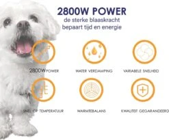 Forgoods Professionele Hondenfohn - Waterblazer Voor Honden - Hondenfohn Met 4 Opzetstukken - 2800W Verstelbaar Vermogen - Roze -Honden Benodigdheden Verkoop 1200x997 1