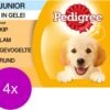Pedigree Pouch Junior Multipack - Hondenvoer - 4 X 12x100 G 1 Pedigree Pouch Junior Multipack - Hondenvoer - 4 X 12x100 G -Honden Benodigdheden Verkoop 1200x997