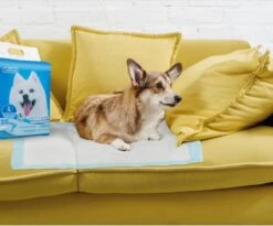 Nobleza 48LXE - Puppy Training Pads - 60 X 90 Cm - Zindelijkheidstraining - 120 Stuks -Honden Benodigdheden Verkoop 1200x997 5