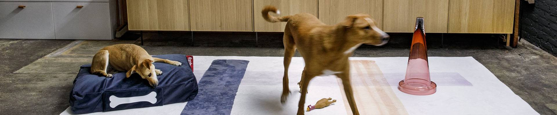 Honden Benodigdheden Verkoop -Honden Benodigdheden Verkoop 2