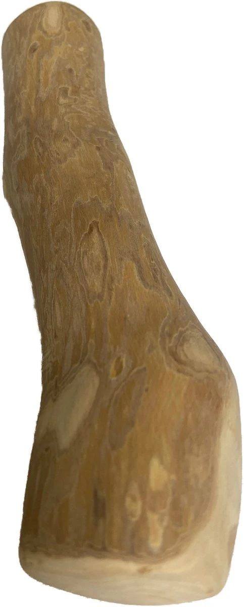 BoDutch - Koffieboom Kauwwortel - Maat L - Hondensnack 5 BoDutch - Koffieboom Kauwwortel - Maat L - Hondensnack - Afbeelding 3