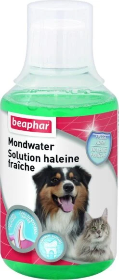 Beaphar Mondwater - 250 Ml -Honden Benodigdheden Verkoop 513x1200