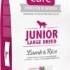 Brit Care Hypo-allergeen Junior - Large Breed Lam En Rijst -12kg -Honden Benodigdheden Verkoop 535x1200 1