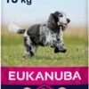 Eukanuba Caring Senior Medium Breed Kip - Hondenvoer - 15 Kg -Honden Benodigdheden Verkoop 550x1200