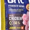 Brit Premium By Nature Hondenvoer Junior M 15 Kg - Hond 2 Brit Premium By Nature Hondenvoer Junior M 15 Kg - Hond -Honden Benodigdheden Verkoop 551x1200