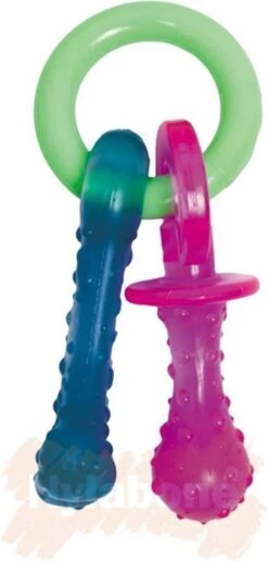 Nylabone Puppy Teething Pacifier Flexible - Hondenspeelgoed - Bacon 215x100x38 Mm 108 G Roze Blauw Groen Tot 11kg Small -Honden Benodigdheden Verkoop 573x1200 6