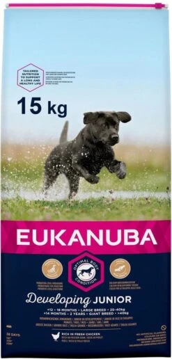 Eukanuba Developing Junior Large Breed Kip - Hondenvoer - 15 Kg -Honden Benodigdheden Verkoop 574x1200 1