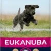 Eukanuba Developing Junior Large Breed Kip - Hondenvoer - 15 Kg -Honden Benodigdheden Verkoop 577x1200 1