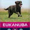 Eukanuba Dog Adult Large Breed - Kip - Hondenvoer - 15 Kg -Honden Benodigdheden Verkoop 577x1200