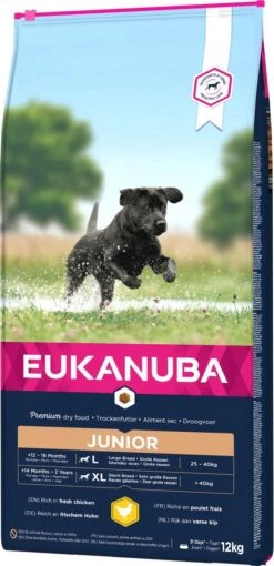 Eukanuba Developing Junior Large Breed Kip - Hondenvoer - 15 Kg -Honden Benodigdheden Verkoop 581x1200 2
