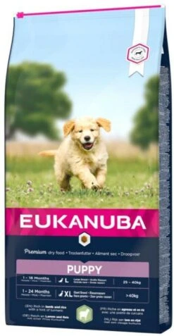 Eukanuba Puppy Junior - Medium Breed - Lam & Rijst - 2.5 Kg -Honden Benodigdheden Verkoop 621x1200