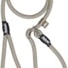 Rebel Petz - Honden Trainingslijn Met Halsband - Taupe, Zwart, Groen & Oranje - Maat Small Of Large - Kleur: Taupe, Maat: Large -Honden Benodigdheden Verkoop 642x1200 1
