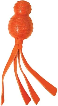 Kong Wubba Comet - Hondenspeelgoed - Assorti - M -Honden Benodigdheden Verkoop 657x1200 2