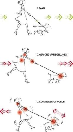 WAW Easy Dog Walk 'schokdemper' Zwart - XXL - >40 Kg -Honden Benodigdheden Verkoop 670x1200 3