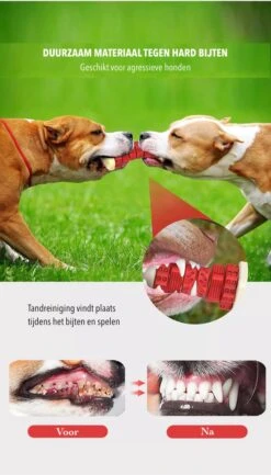 3-in-1 Hondenkauwbot - Gebitsverzorging - IQ Training - Voedsel Afgifte Functie - Geometrisch Ontwerp - Duurzaam & Milieuvriendelijk - Kauwbot - Honden - Hondenbot - Rood 13 3-in-1 Hondenkauwbot - Gebitsverzorging - IQ Training - Voedsel Afgifte Functie - Geometrisch Ontwerp - Duurzaam & Milieuvriendelijk - Kauwbot - Honden - Hondenbot - Rood -Honden Benodigdheden Verkoop 684x1200 2