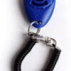 Merkloos Petshop ACE – Clicker – Hond – Training – Honden Training – Met Bevestiging - Blauw -Honden Benodigdheden Verkoop 704x1200 3