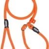 Rebel Petz - Honden Trainingslijn Met Halsband - Taupe, Zwart, Groen & Oranje - Maat Small Of Large - Kleur: Oranje, Maat: Large 1 Rebel Petz - Honden Trainingslijn Met Halsband - Taupe, Zwart, Groen & Oranje - Maat Small Of Large - Kleur: Oranje, Maat: Large -Honden Benodigdheden Verkoop 706x1200 2