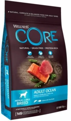 Wellness Core Grain Free Dog Ocean Zalm&Tonijn - Hondenvoer - 10 Kg -Honden Benodigdheden Verkoop 708x1200