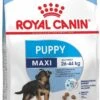 Royal Canin Maxi Puppy 4 KG -Honden Benodigdheden Verkoop 713x1200