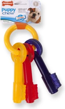 Nylabone Puppy Teething Key Flexible Geel&Blauw&Rood - Hondenspeelgoed - Wolf Tot 16kg 29 Nylabone Puppy Teething Key Flexible Geel&Blauw&Rood - Hondenspeelgoed - Wolf Tot 16kg -Honden Benodigdheden Verkoop 713x1200 4