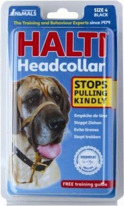 Halti Headcollar - Maat 2 -Honden Benodigdheden Verkoop 721x1200 2