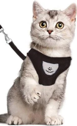 Luxyana® Hondentuigje - S - 28-32cm - Geschikt Voor Kleine Honden En Als Kattenharnas - Easy Step-in Hondentuigje Voor De Kleine Hond Of Kat - Inclusief Bijpassend Riempje - Zwart -Honden Benodigdheden Verkoop 735x1200 1