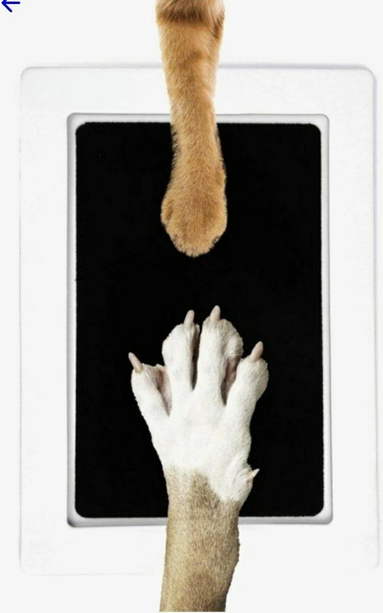 Merkloos Paw Print Pad - Pootafdruk Maken Van Hond Of Kat 3 Merkloos Paw Print Pad - Pootafdruk Maken Van Hond Of Kat