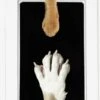 PrintMe - Paw Print Pad - Groter Formaat - Pootafdruk Maken Van Hond Of Kat - Zeer Gemakkelijk - Verbeterd Formaat! - Geen Inkt Op De Poot Van Uw Huisdier- Groot - Leuk Als Cadeau! -Honden Benodigdheden Verkoop 750x1200 9