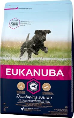 Eukanuba Developing Junior Large Breed Kip - Hondenvoer - 15 Kg -Honden Benodigdheden Verkoop 755x1200 1