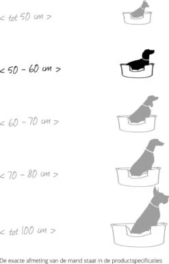 Flamingo - Hondenmand Domus - Grijs - M - 70 X 47 X 22 Cm -Honden Benodigdheden Verkoop 767x1200 5