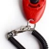 Merkloos Petshop ACE – Clicker – Hond – Training – Honden Training – Met Bevestiging - Rood -Honden Benodigdheden Verkoop 779x1200 1
