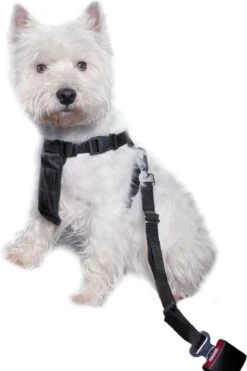 Trixie Auto-Tuig Zwart Maat - M -Honden Benodigdheden Verkoop 798x1200 4