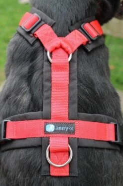 Annyx Hondentuig Harnas Zwart Rood - Y Model - Maat S Is Geschikt Voor Borstomvang 52-64cm. -Honden Benodigdheden Verkoop 799x1200 7