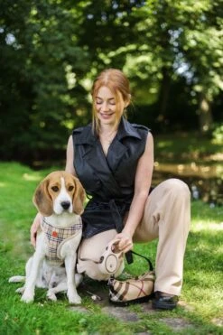 Hondenriem - Leiband Hond - Rollijn - 5 Meter - Beige - Riem Met Oprolsysteem - Hondenriem Flexi - Hondenlijn - Uitlaatriem -Honden Benodigdheden Verkoop 800x1200 22