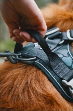 Hurtta Weekend Warrior Harness - 80/100 Cm - Raven -Honden Benodigdheden Verkoop 800x1200 42