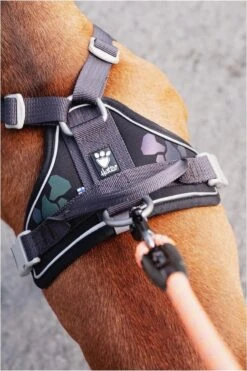 Hurtta Weekend Warrior Harness - 80/100 Cm - Raven -Honden Benodigdheden Verkoop 800x1200 44
