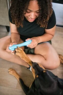 West Paw Zogoflex Hurley - Super Sterk Kauwbot Voor Honden - Kleur: Blauw, Maat: Large -Honden Benodigdheden Verkoop 800x1200 71