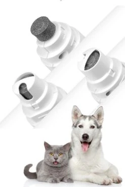 Elektrische NagelVijl / Nagelknipper Kat / Nagelknipper Hond / Nageltrimmer / Draadloos / Diamante Vijlkop / Honden/Katten/Knaagdieren 9 Elektrische NagelVijl / Nagelknipper Kat / Nagelknipper Hond / Nageltrimmer / Draadloos / Diamante Vijlkop / Honden/Katten/Knaagdieren -Honden Benodigdheden Verkoop 802x1200 1