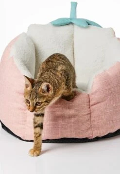 PETKIT® Strawberry Mand – Hondenmand – Kattenmand – Roze -Honden Benodigdheden Verkoop 823x1200 3